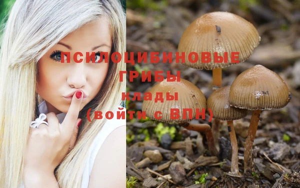 меф Алзамай