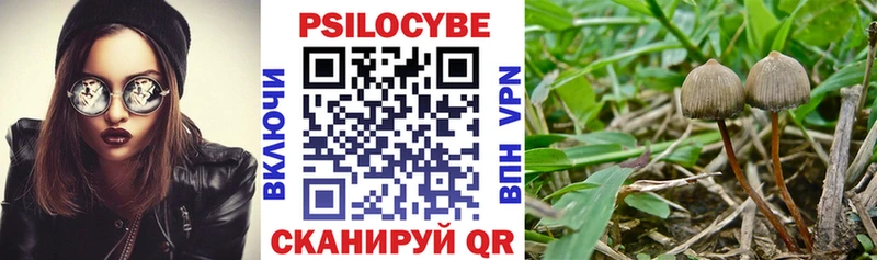 Псилоцибиновые грибы мухоморы Боровичи