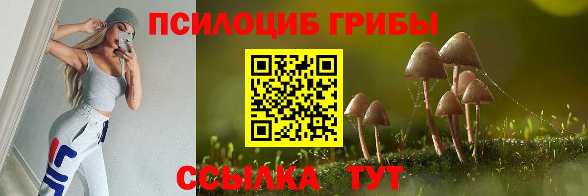 Псилоцибиновые грибы GOLDEN TEACHER Боровичи