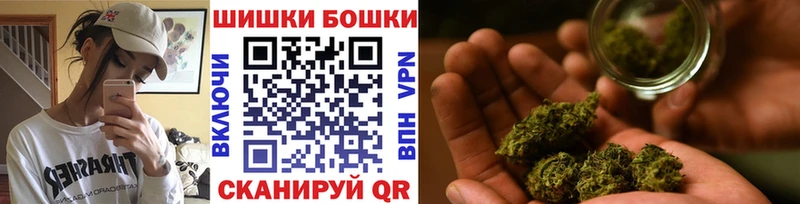 kraken как войти  Боровичи  МАРИХУАНА ГИДРОПОН 